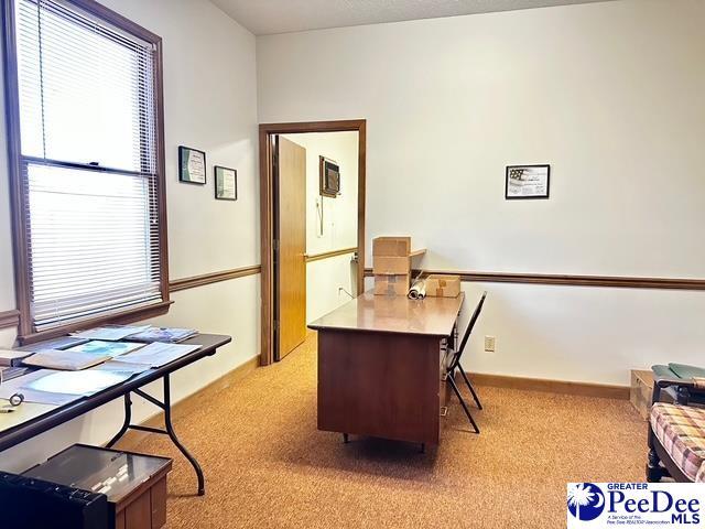 office space with light carpet