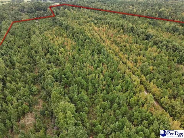 103.61ACRES Rucker Dr, Timmonsville, SC 29161 - photo 16