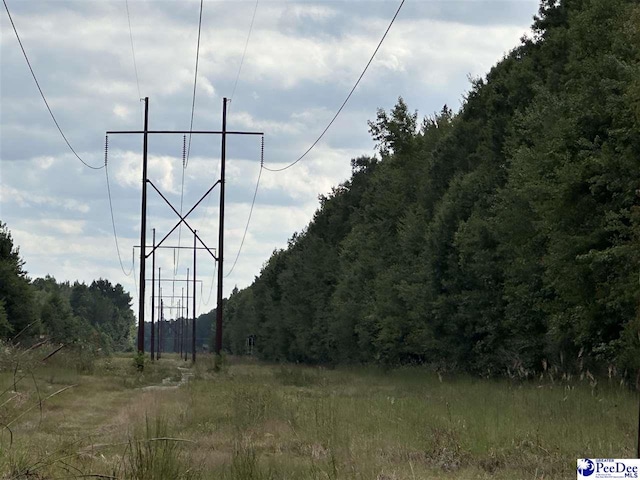 103.61ACRES Rucker Dr, Timmonsville, SC 29161 - photo 12