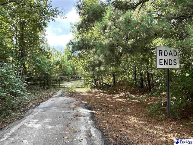 103.61ACRES Rucker Dr, Timmonsville, SC 29161 - photo 4