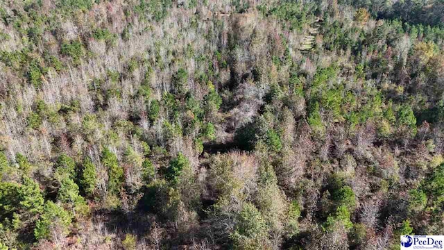 103.61ACRES Rucker Dr, Timmonsville, SC 29161 - photo 28