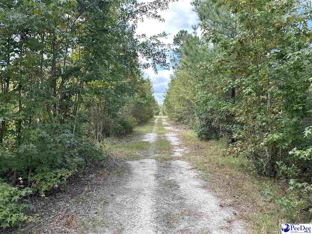 103.61ACRES Rucker Dr, Timmonsville, SC 29161 - photo 5