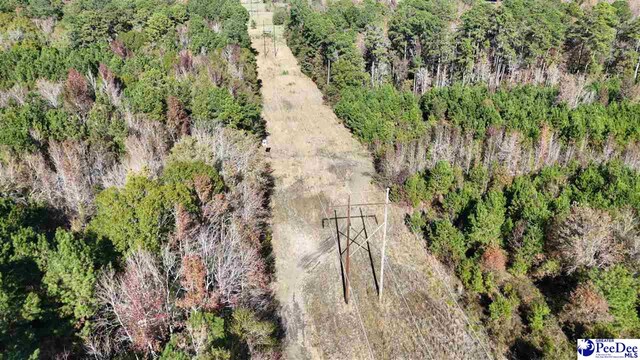 103.61ACRES Rucker Dr, Timmonsville, SC 29161 - photo 11