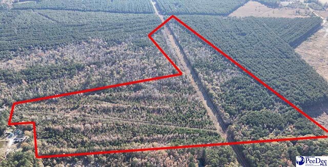 103.61ACRES Rucker Dr, Timmonsville, SC 29161 - photo 34
