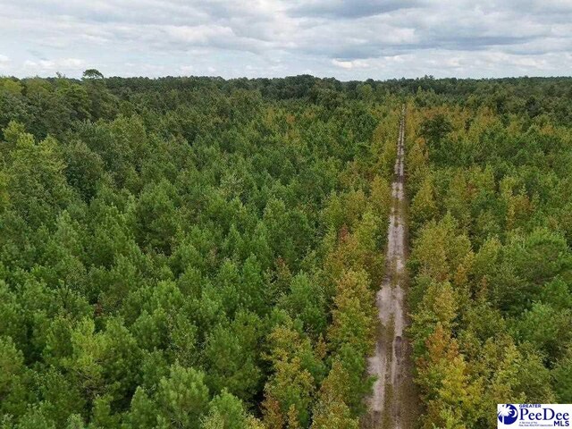103.61ACRES Rucker Dr, Timmonsville, SC 29161 - photo 7