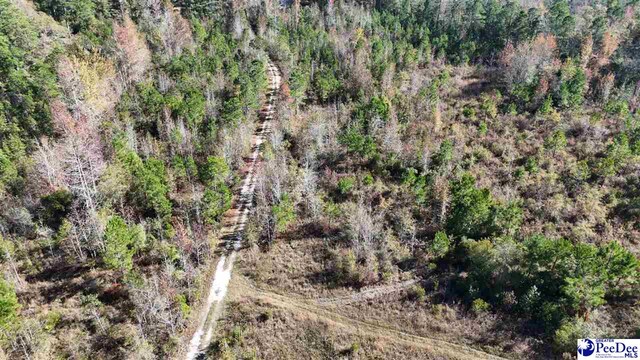 103.61ACRES Rucker Dr, Timmonsville, SC 29161 - photo 30