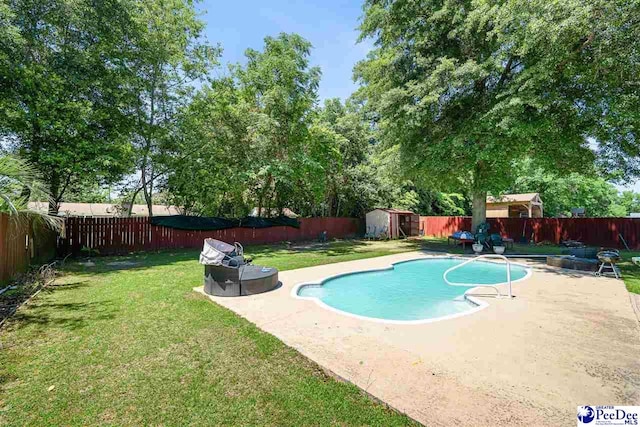 953 Rice Planters Ln, Florence, SC 29501 - view of pool featuring a patio, a storage unit, and an outdoor structure