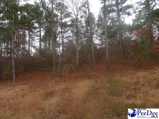 LOTS4 Morrison Rd, Hartsville SC, 29550 land for sale