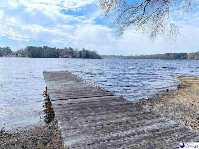 view of dock with a water view