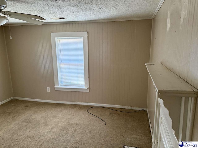 501 Amerson St, Hartsville, SC 29550 - photo 10