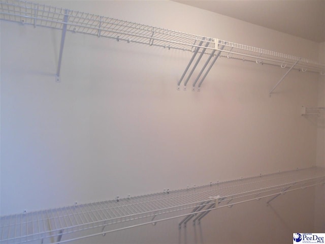1081 Wessex Dr, Florence, SC 29501 - view of spacious closet