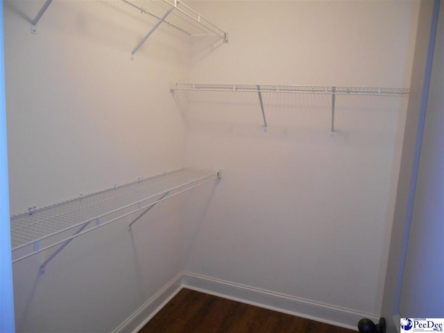1081 Wessex Dr, Florence, SC 29501 - spacious closet featuring dark wood-style flooring
