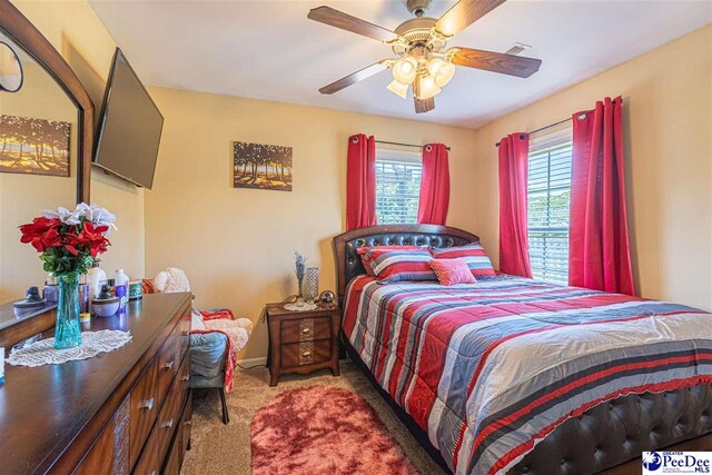 2209 Stepping Stone Dr, Effingham, SC 29541 - photo 22