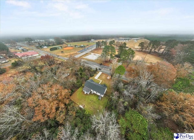 aerial view with a rural view