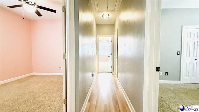 2423 Ben Hogan Cir, Florence, SC 29506 - hall with attic access, light colored carpet, and baseboards