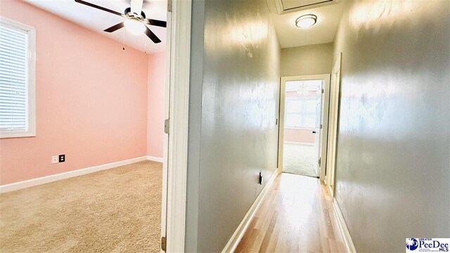 2423 Ben Hogan Cir, Florence, SC 29506 - corridor featuring baseboards and carpet floors