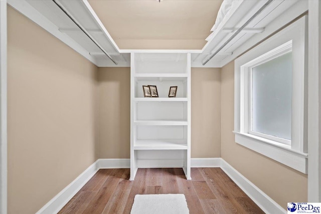 walk in closet with wood-type flooring