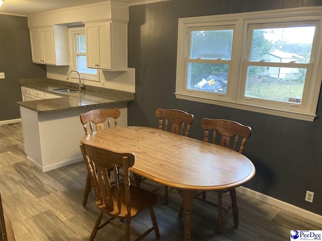 dining space with sink and hardwood / wood-style flooring