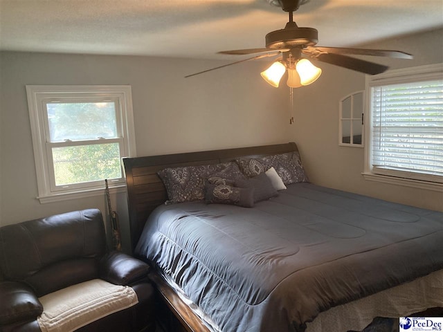 bedroom with ceiling fan