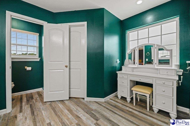 bathroom with wood-type flooring and vanity