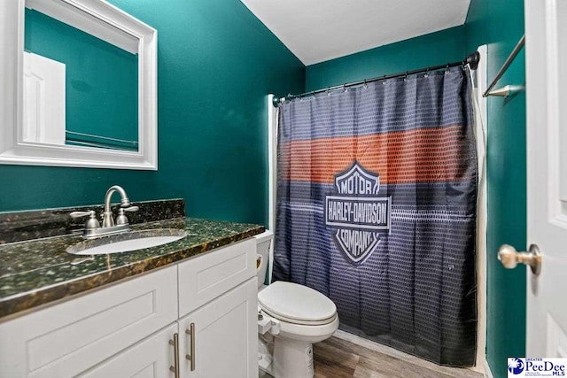 bathroom featuring vanity, hardwood / wood-style floors, curtained shower, and toilet