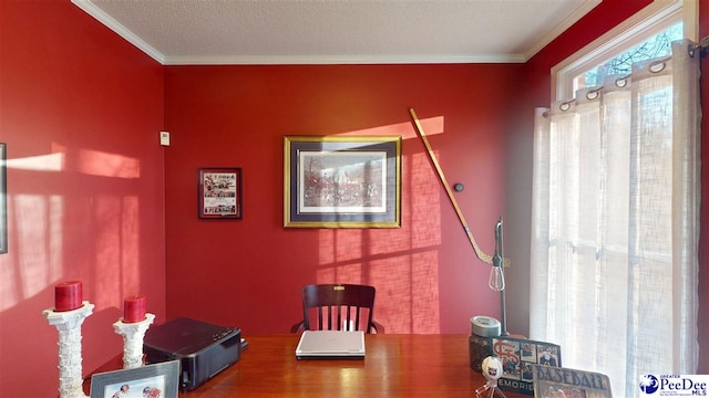 interior space with crown molding