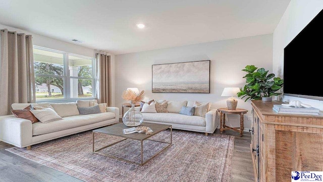 living room with dark hardwood / wood-style floors