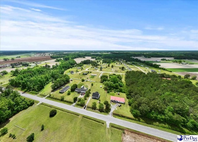 1763 Lipscomb Rd, Mullins, SC 29574 - bird's eye view of a tree filled landscape