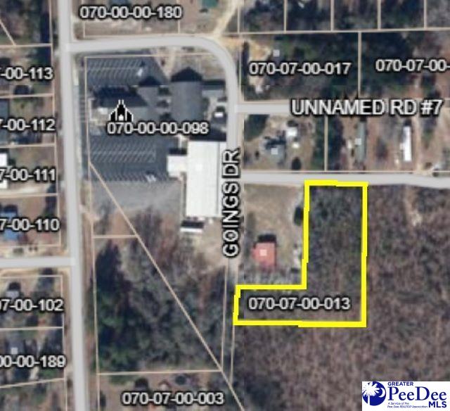 Goings Dr, Dillon SC, 29536 land for sale