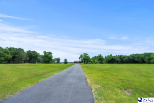 2284 Syracuse Community Rd, Darlington, SC 29532 - view of road