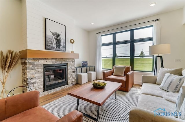 living room with a fireplace and light hardwood / wood-style flooring