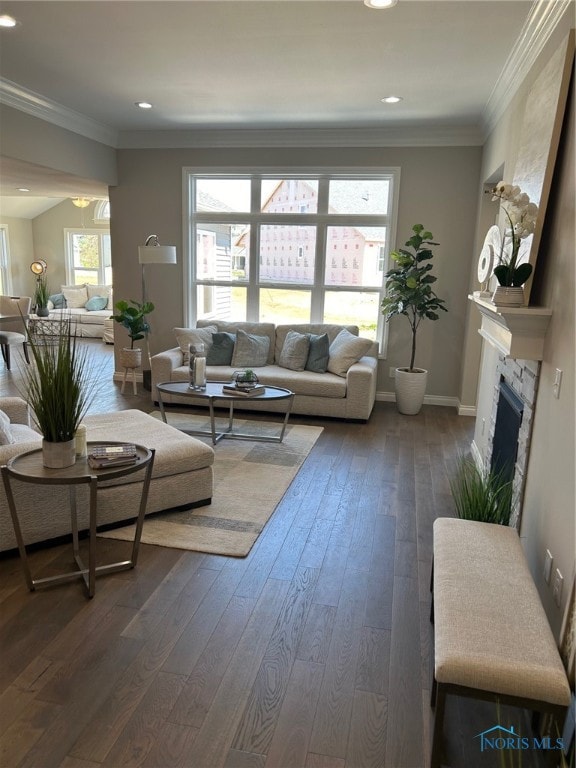 living room featuring dark wood-type flooring and crown molding