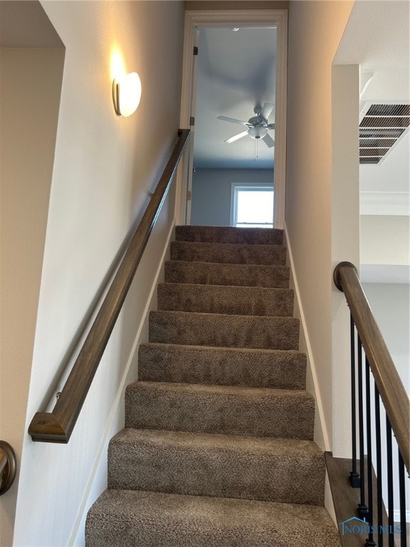 staircase with ceiling fan and carpet floors