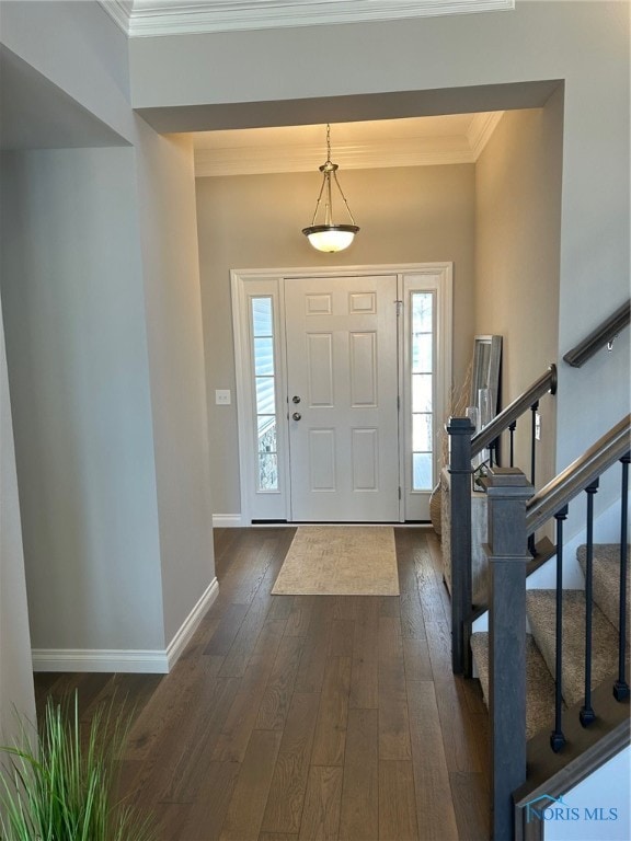 foyer entrance featuring ornamental molding and dark hardwood / wood-style floors