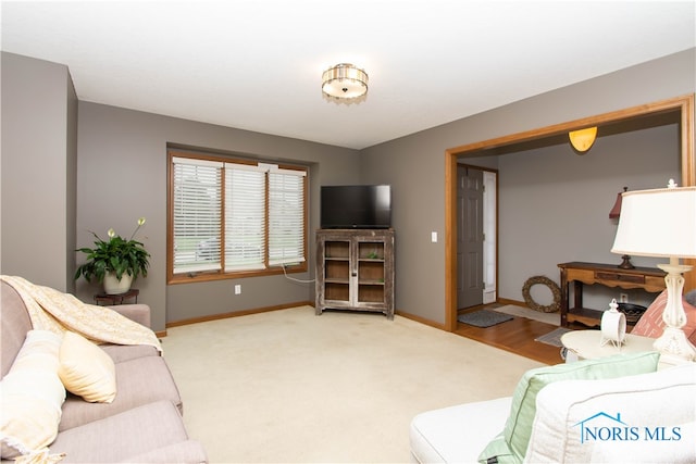 living room with light colored carpet