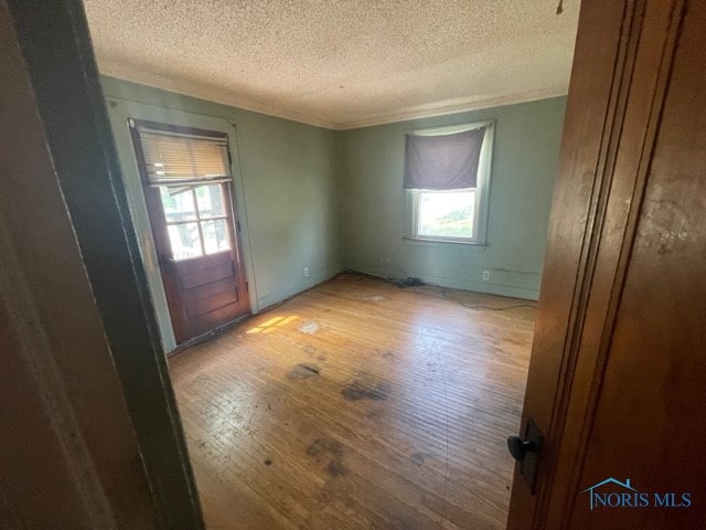 spare room featuring a textured ceiling and light hardwood / wood-style flooring