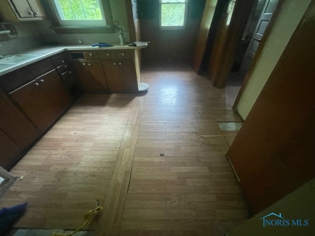 interior space featuring dark brown cabinets, sink, and light hardwood / wood-style flooring