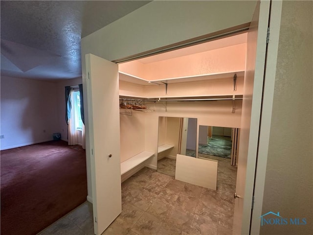 walk in closet with carpet flooring