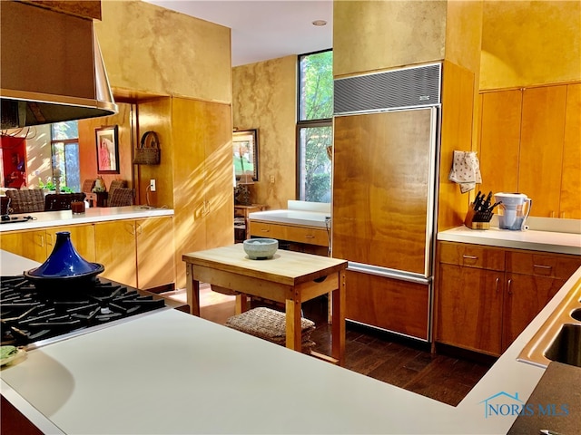 kitchen with paneled built in fridge and dark hardwood / wood-style floors