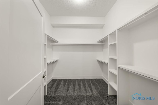 walk in closet with carpet flooring