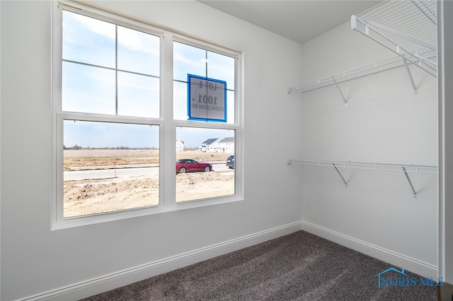 walk in closet with dark carpet