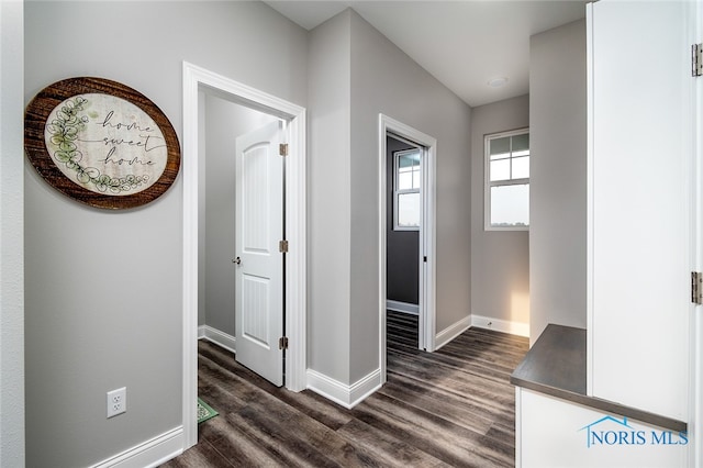 hallway with dark hardwood / wood-style floors