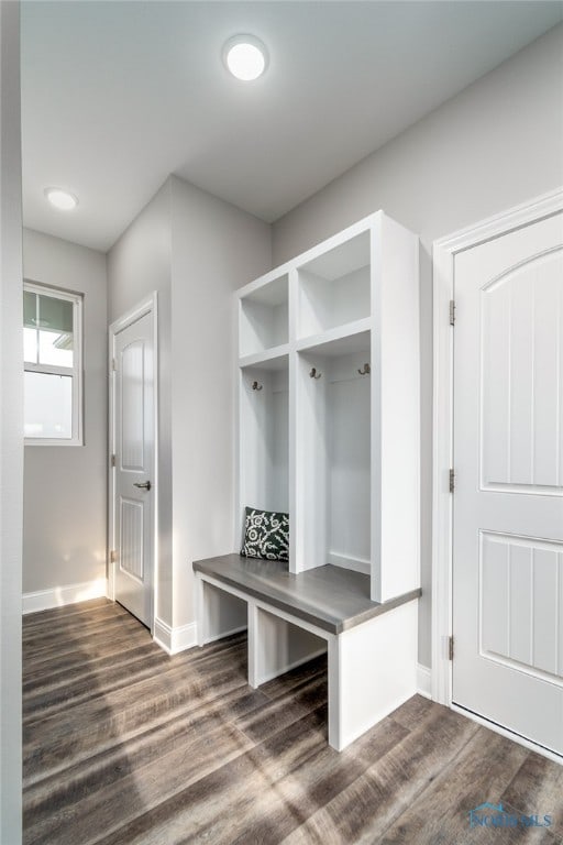 mudroom featuring dark hardwood / wood-style floors