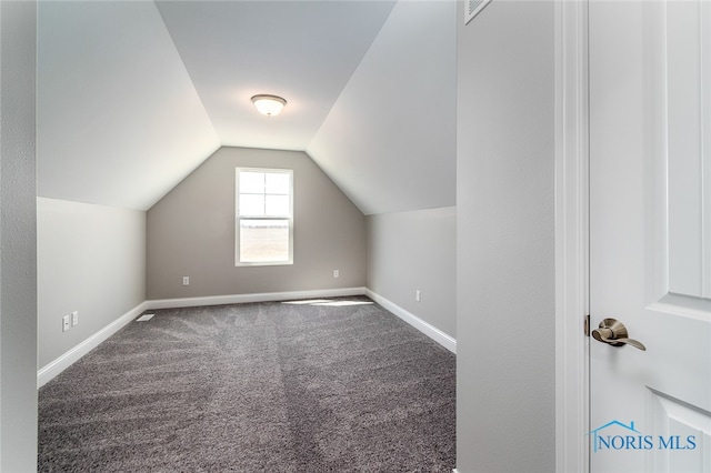 additional living space featuring carpet flooring and lofted ceiling