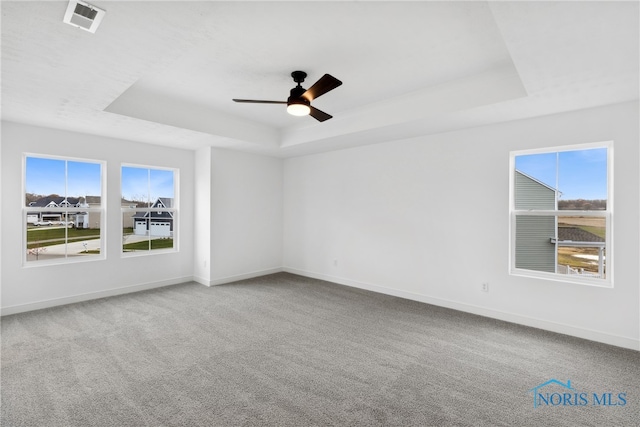 unfurnished room featuring plenty of natural light, a raised ceiling, and carpet floors