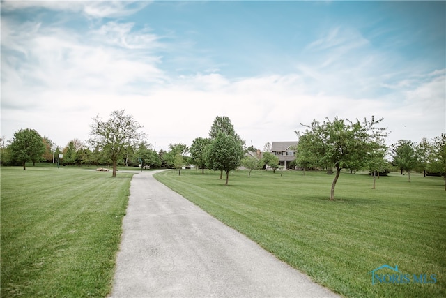 view of property's community with a yard