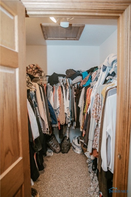 walk in closet featuring carpet