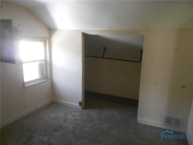 interior space featuring carpet and vaulted ceiling