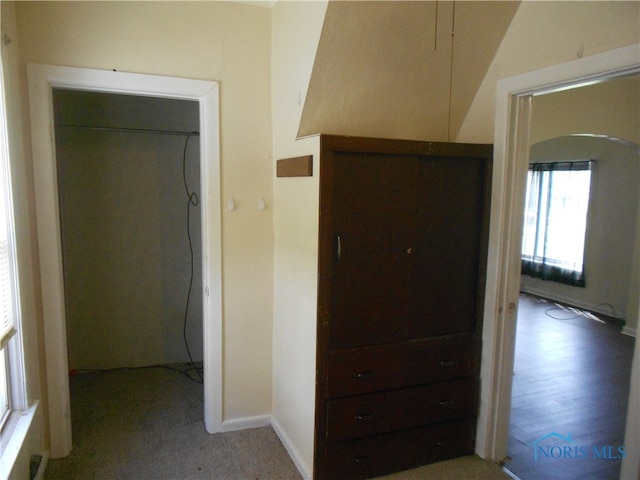 hallway featuring carpet floors