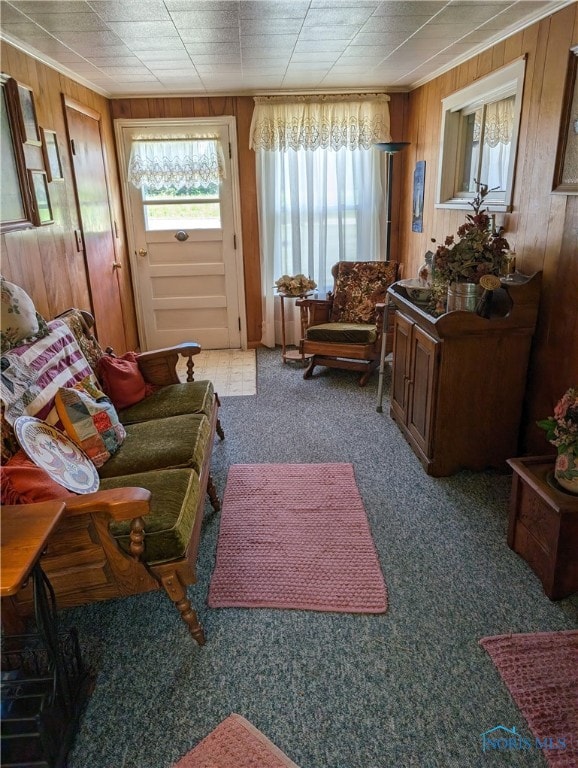 carpeted living room with wood walls